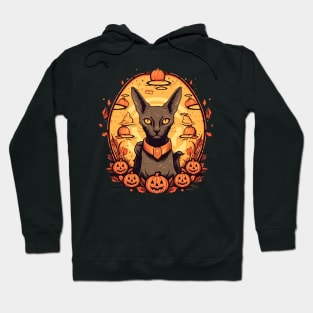 Oriental Shorthair Cat Halloween, Cat Lover Hoodie